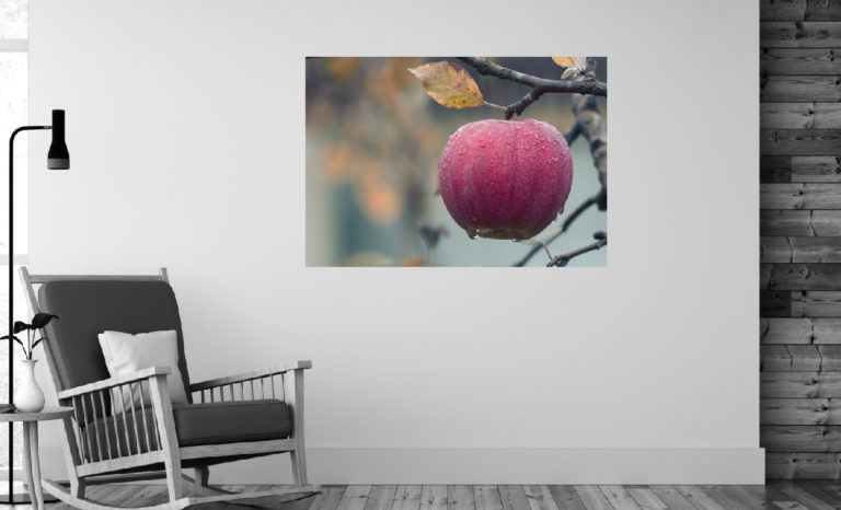Jabłko fotoobraz